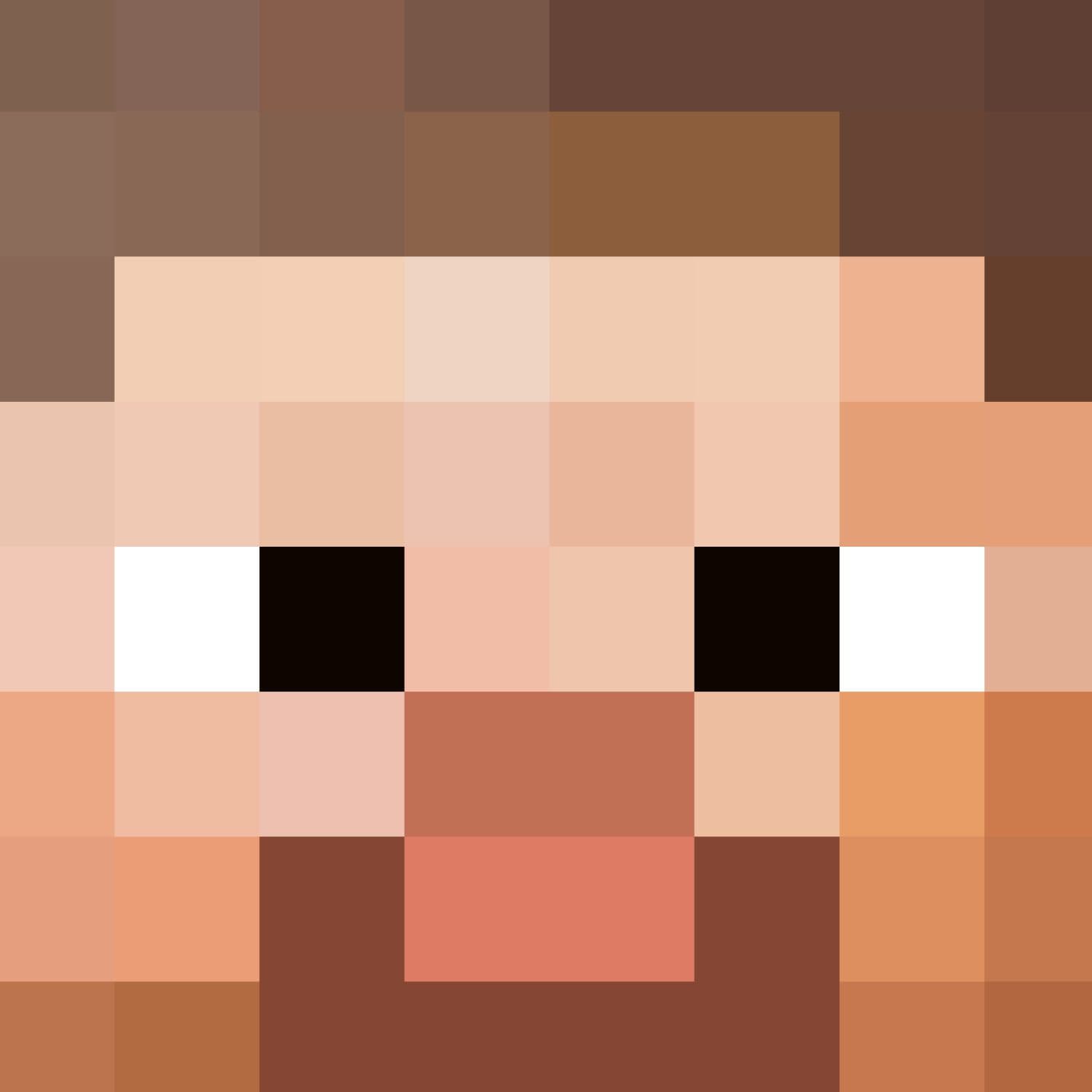 Minecraft Head