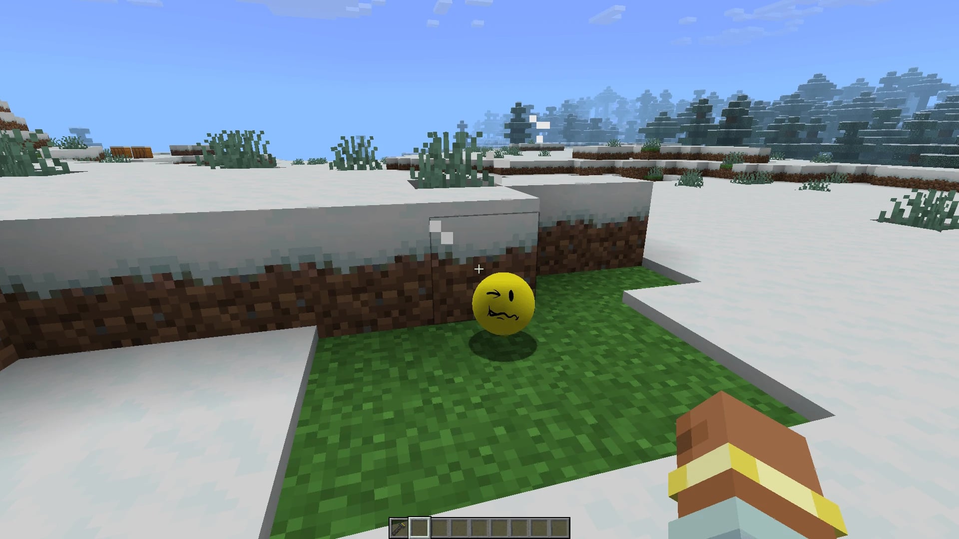 Official Verity JE screenshot showing the yellow companion beside snowy terrain